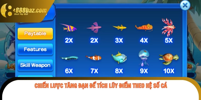 Chiến lược tăng đạn để tích lũy điểm theo hệ số cá