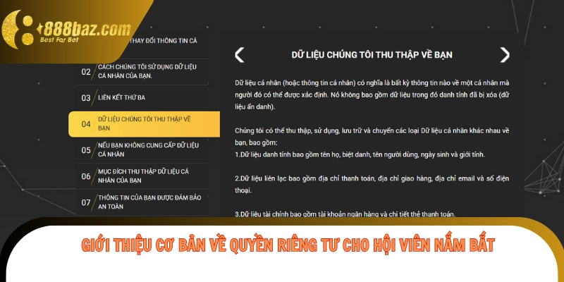 Giới thiệu cơ bản về quyền riêng tư cho hội viên nắm bắt