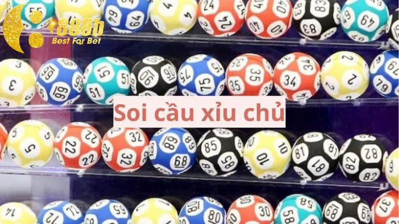 Người chơi áp dụng linh hoạt để soi cầu xỉu chủ