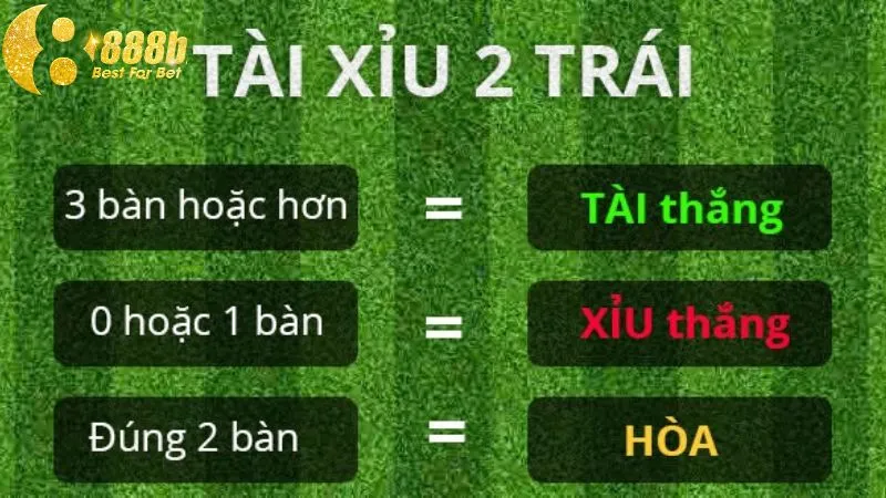 Người chơi nên hiểu rõ cách đọc kèo 2 trái khi cá cược