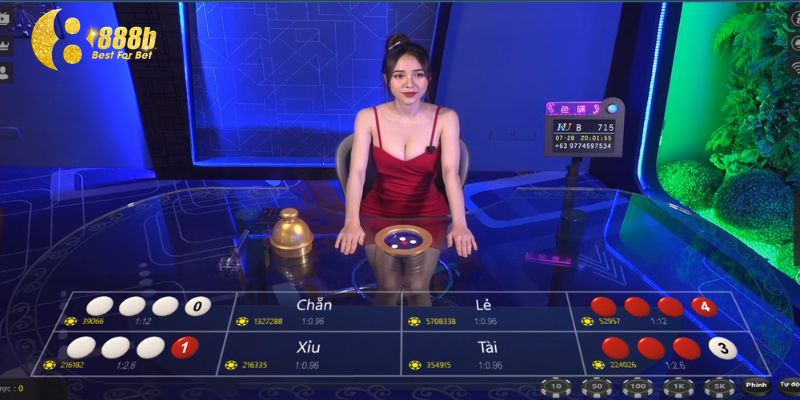 888B cung cấp tỷ lệ trả thưởng công khai cho người chơi