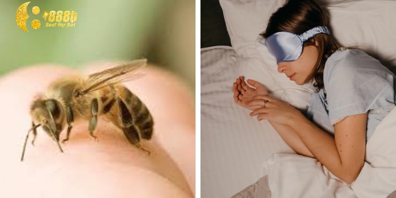 giải mã giấc mơ bị ong đốt