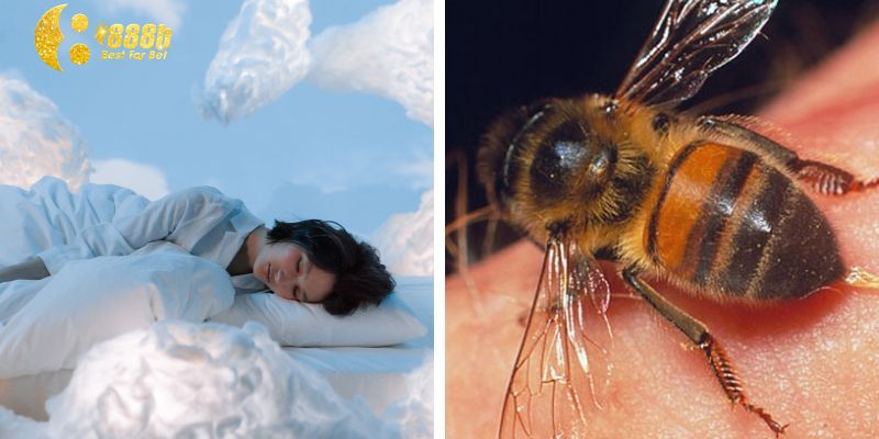 Khám phá ý nghĩa khi giải mã giấc mơ bị ong đốt lúc ong đang lấy mật