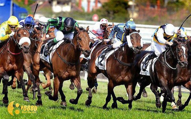 Luật cá cược trong đua ngựa