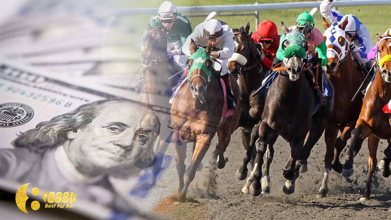 Tham gia cá cược cực hấp dẫn