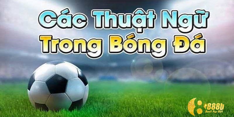 thuật ngữ cá độ bóng đá
